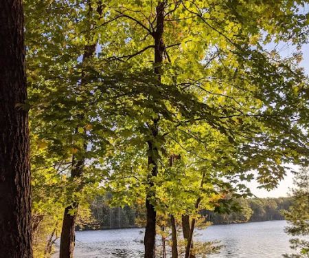 Two Lakes Campground