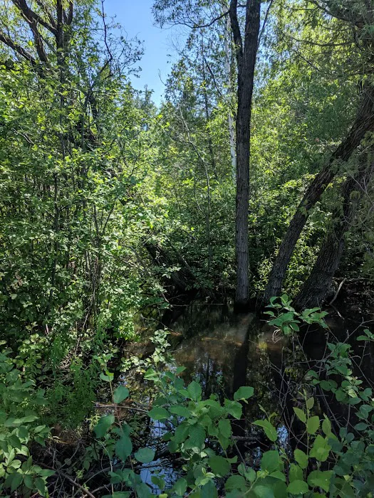 Prentice Park City Campground 8