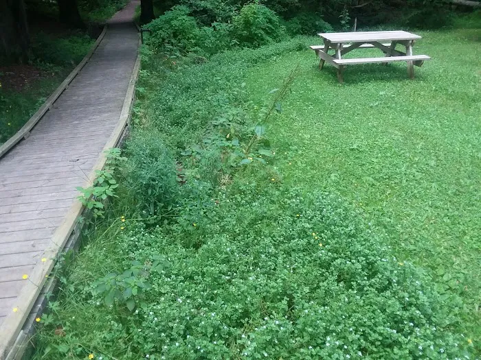 Prentice Park City Campground 2