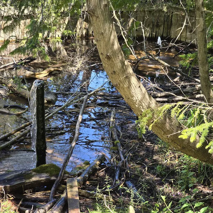 Prentice Park City Campground 10