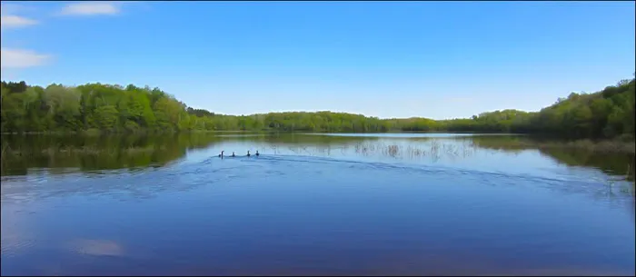 Drummond Lake Campground 2