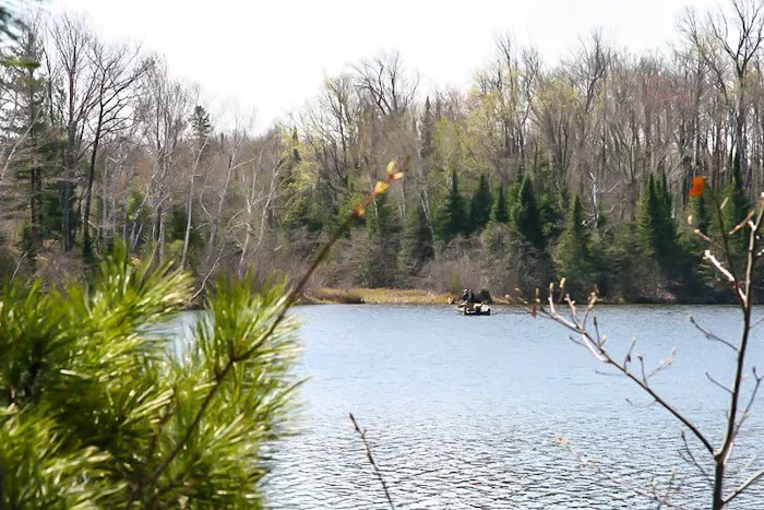 Drummond Lake Campground 6