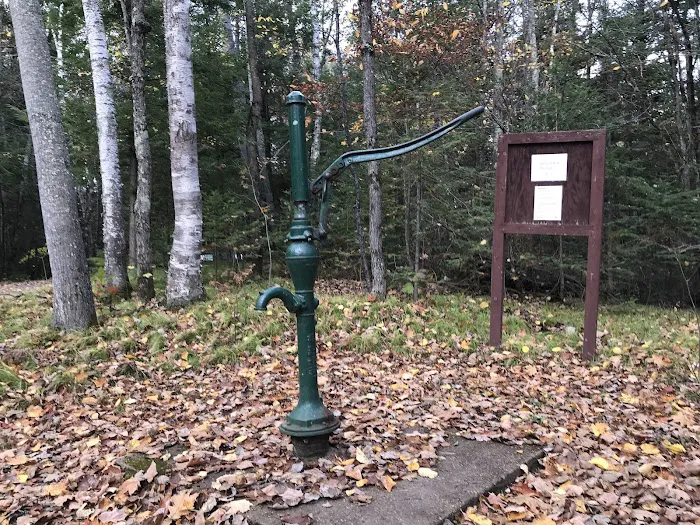Perch Lake Campground 4