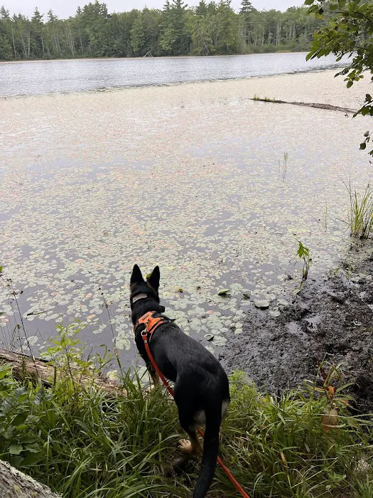 Perch Lake Campground 3