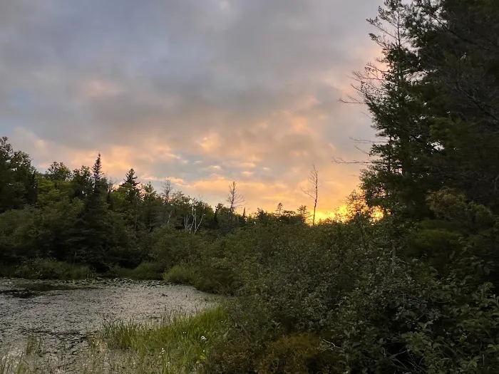 Perch Lake Campground 9