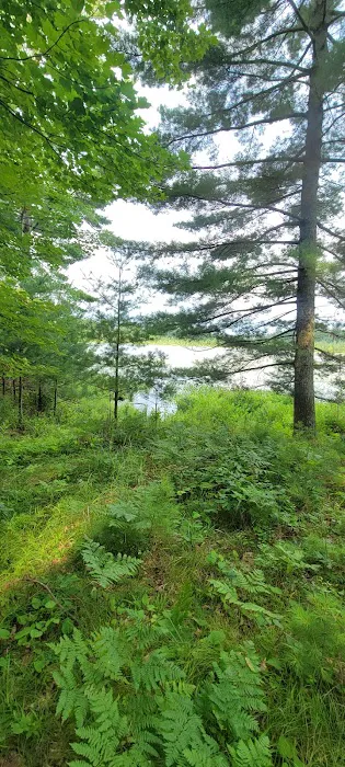 Seneca Campsite 3