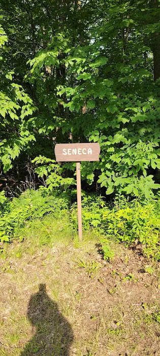 Seneca Campsite 2