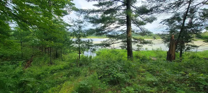 Seneca Campsite 4