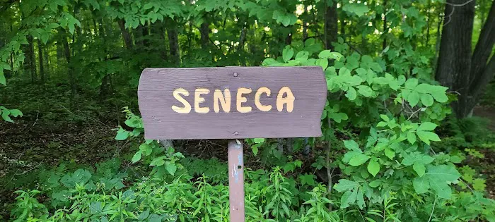 Seneca Campsite 7