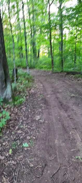 Seneca Campsite 8