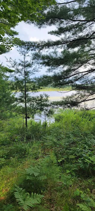 Seneca Campsite 6