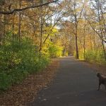 Savanna Campground