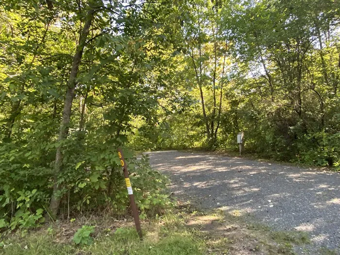 Savanna Campground 5