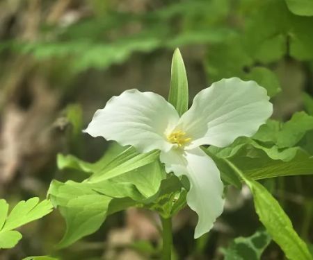 Interstate Park Campground