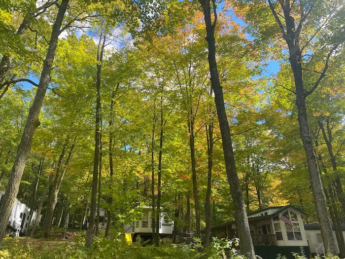 Camp Brigadoon 9