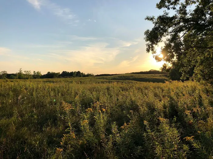 Big Rock Creek 9