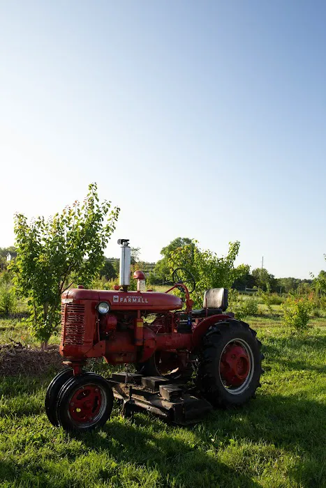 Stone Creek Farm 6