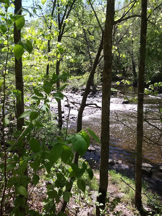 Clam Falls Campground 9