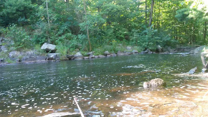 Clam Falls Campground 4