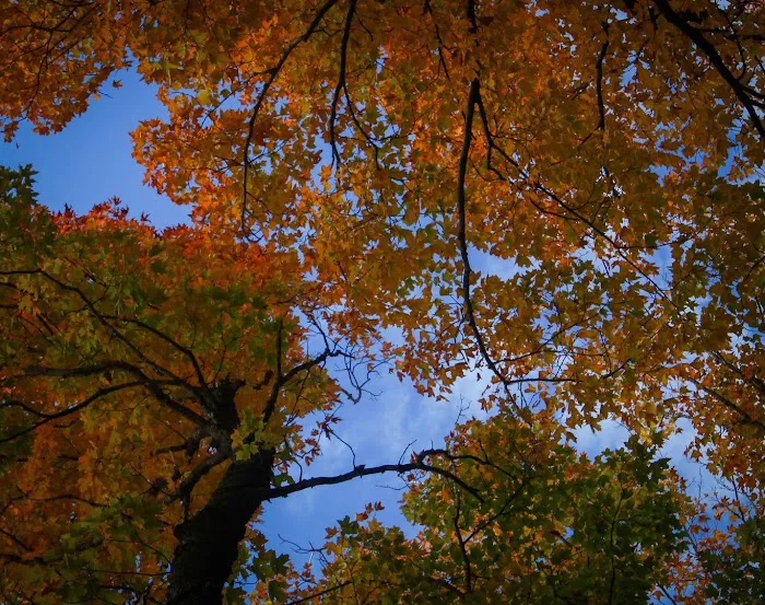 Freedom Valley Campground 8
