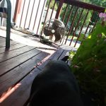 Five Star Mobile Estates