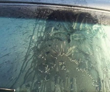 Roseville Estates MHP, LLC