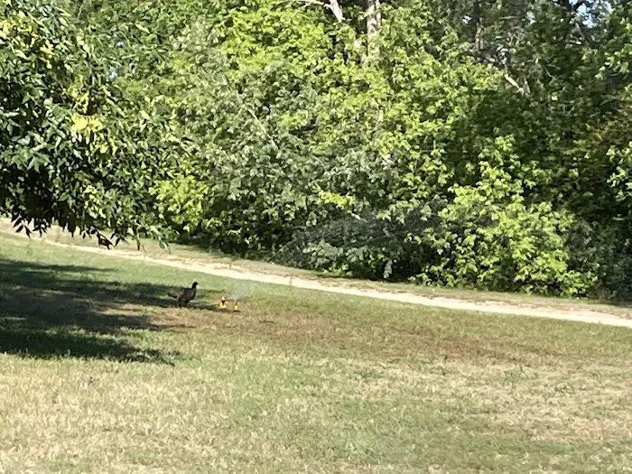 Fish Lake Acres Campground 10