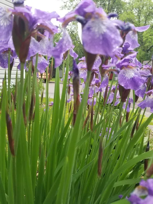 Townsedge Terrace 1