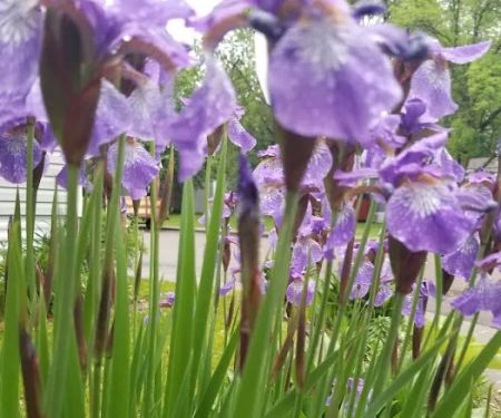 Townsedge Terrace