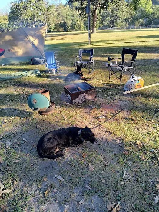 Shady Oaks Campground Picture 9