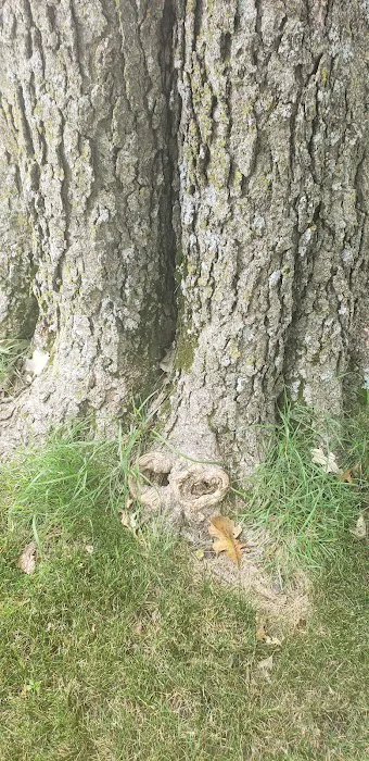 Finstad's Oak Haven Campground 3