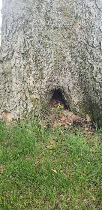 Finstad's Oak Haven Campground 7