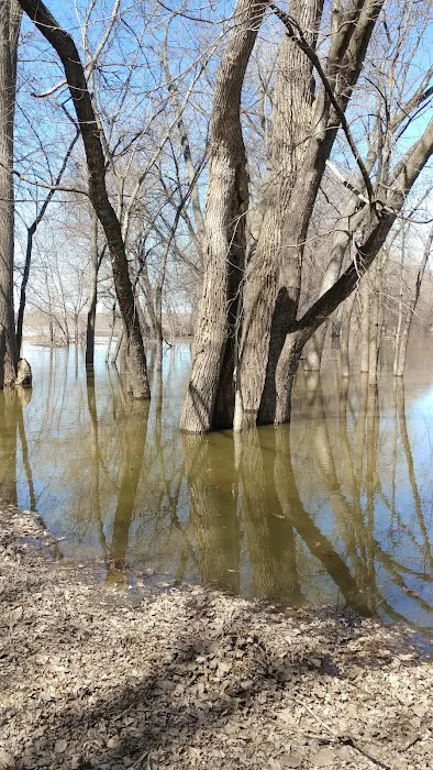 Wills Riverview Campground 6