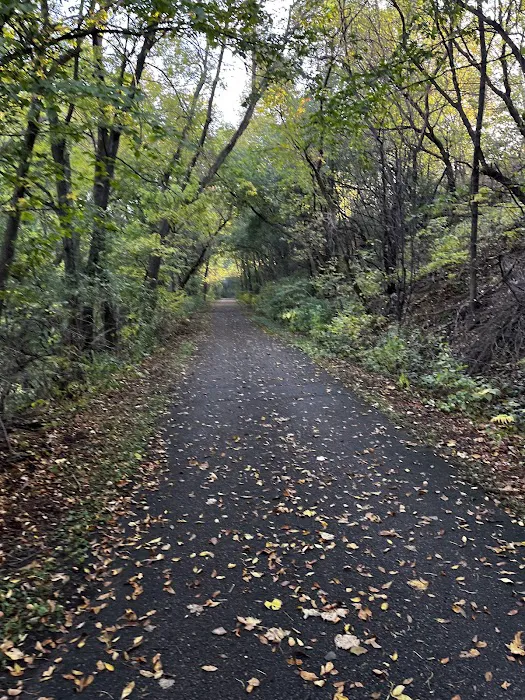 Wills Riverview Campground 8
