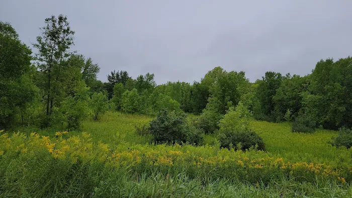 Lake Auburn Campground 2