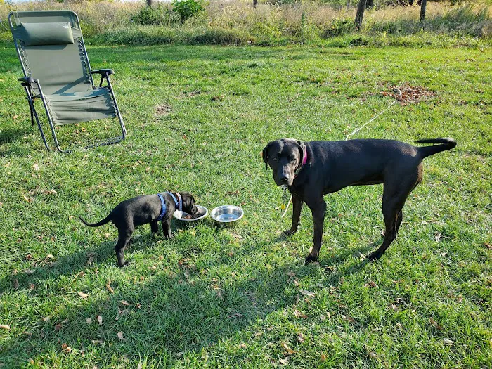 Lakeview Campground 1