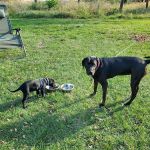 Lakeview Campground