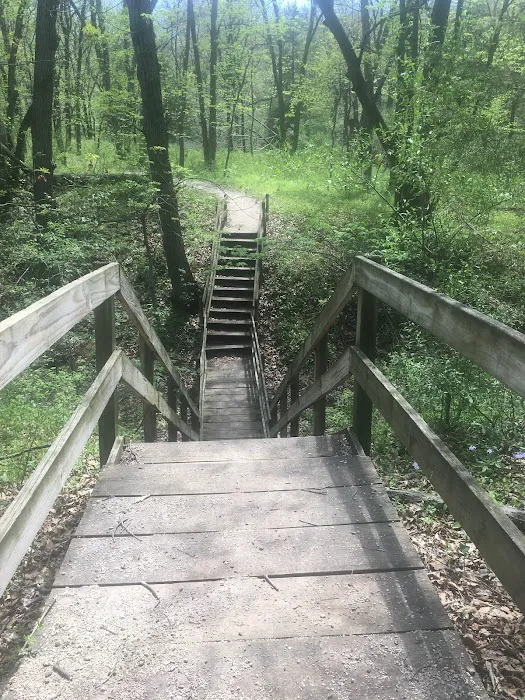 Timber Ridge Campground 10