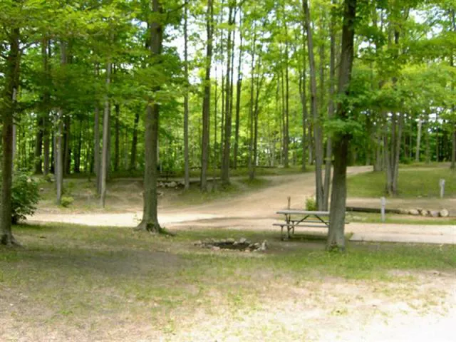 Cadillac Woods Campground 1