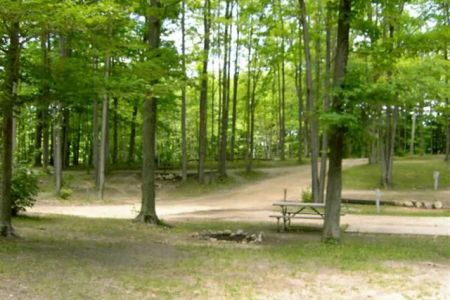 Cadillac Woods Campground