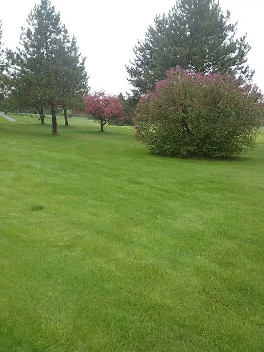 Pheasant Ridge Estates 1