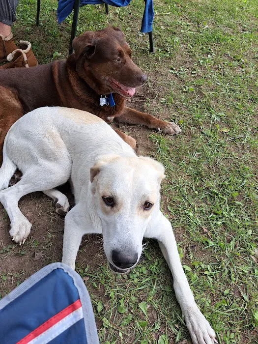 Hughey lake campground 9