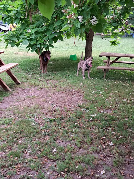 Hughey lake campground 7