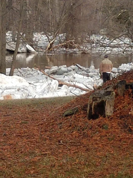 Crystal Creek Campground 8