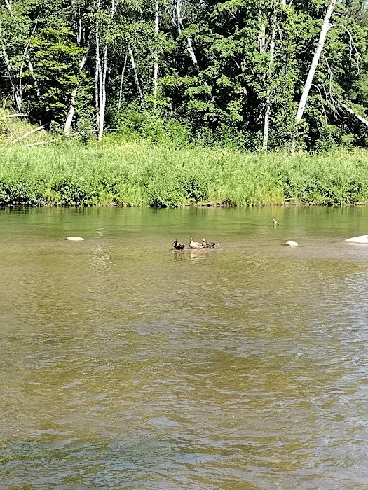 Crystal Creek Campground 5