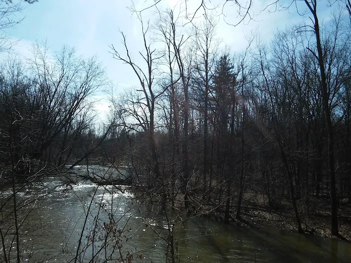 Oxbow Campground 4