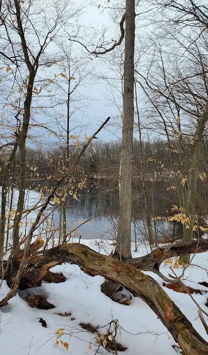 Oxbow Campground 8