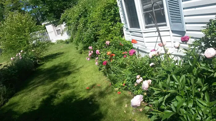 Deerfield Pines 7