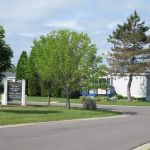 Deerfield Pines