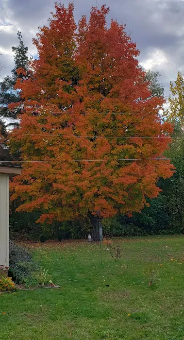 Pinecrest Estates 4